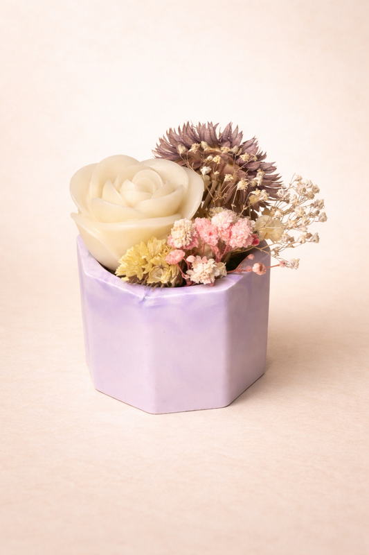 Pot ROSEA
